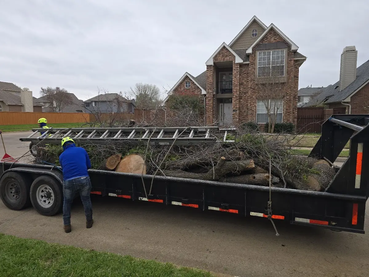 Expert Lot Clearing with proper safety equipment in Garrison